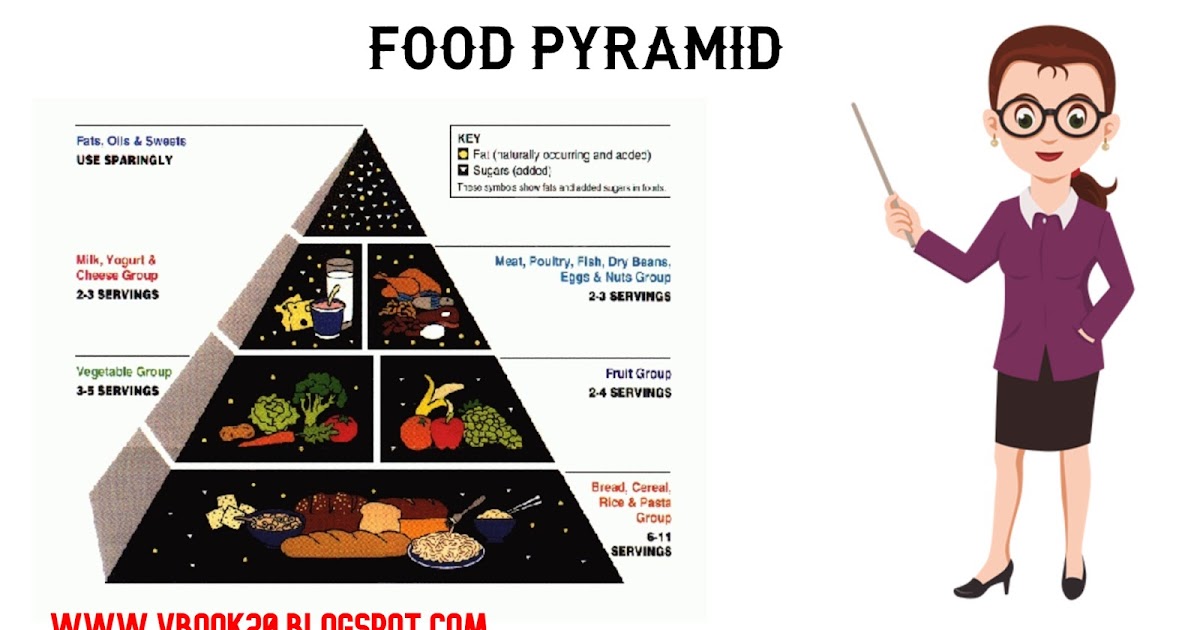food pyramid essay