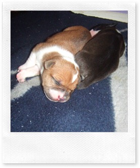 2005_1016jenni0011