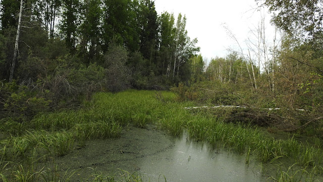 Fairbanks