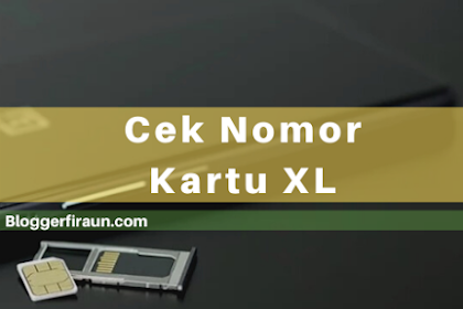 6 Cara Cek Nomor Kartu Xl Dengan Cepat Dan Mudah