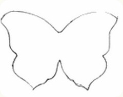 borboleta007