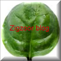 zigzoor blog