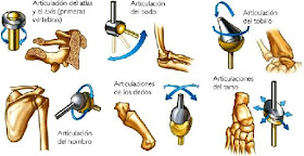 Articulaciones de distintas partes del cuerpo 