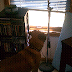 Hapa watching the wood chipper