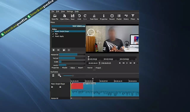 Software Untuk Memberi Efek Blur Pada Wajah di Video