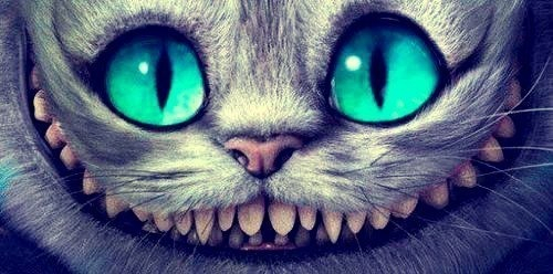 Chat du Cheshire pdia