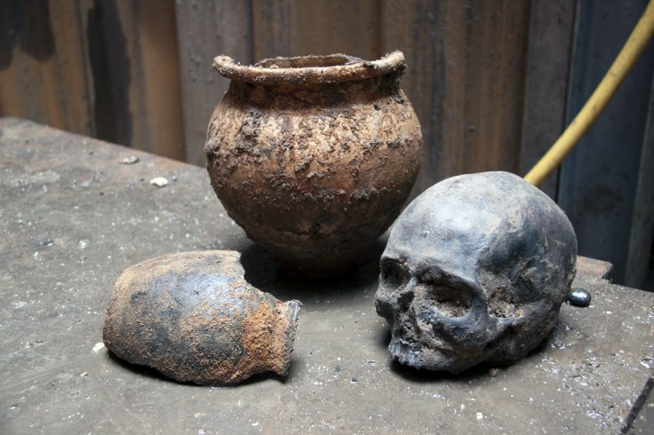 Solving the mystery of the Roman Walbrook skulls 
