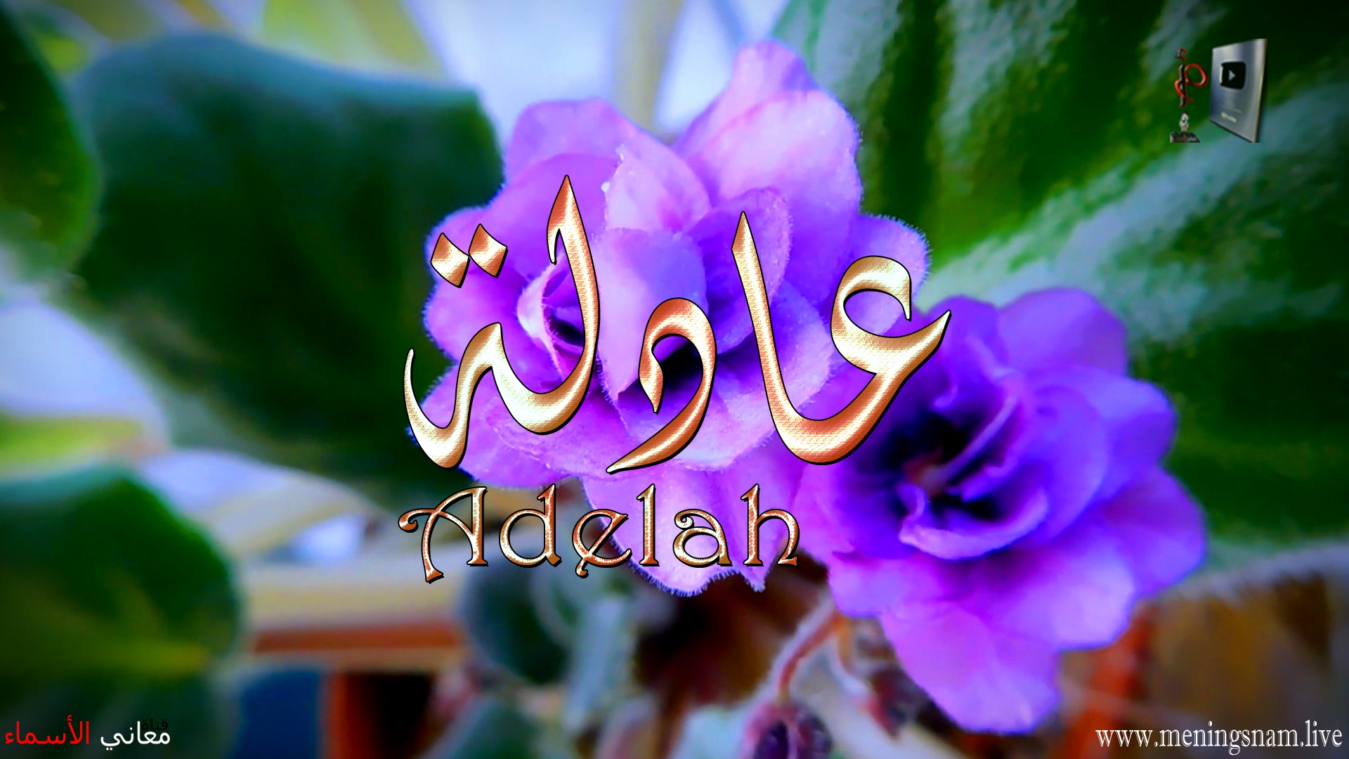 معنى اسم, عادلة, وصفات, حاملة, هذا الاسم, Adelah,