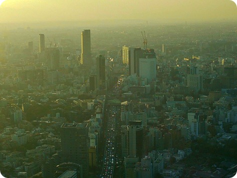tokyo beaver cuz style 018