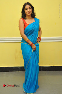 Telugu Actress Vaibhavi Stills in Blue Saree at Www.Meena Bazaar Movie Opening  0106.JPG