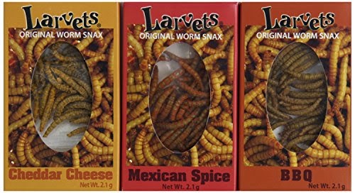 Larvets-Original Worm Snacks (Pack of 24)