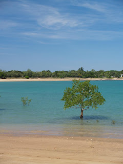 East Point Reserve