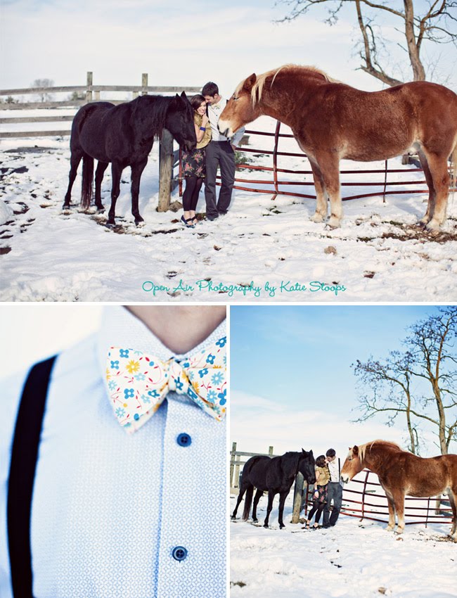 wedding bow tie horses snow