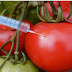 All You Need To Know About Genetically Modified Foods