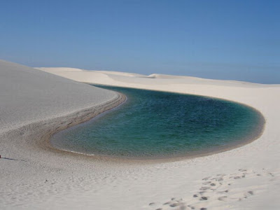 Beautiful Oasis in the Desert Seen On www.coolpicturegallery.us