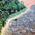 ‘NY TIMES’ ASSOCIA DEVASTAÇÃO NA AMAZÔNIA A NOVO CÓDIGO FLORESTAL