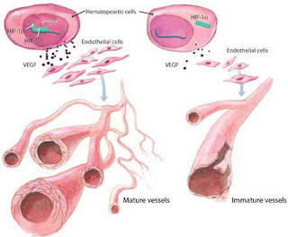 http://anehdidunia.blogspot.com