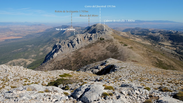 Sierra Arana, Jinestral, Riscos del Moro, Peñón de la Giganta, Cabeza de Caballo,  Tajo de los Carneros