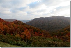 IMG_4607