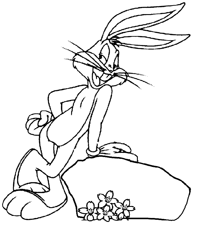 Belajar mewarnai  gambar  kartun  bugs bunny kelinci  lucu 