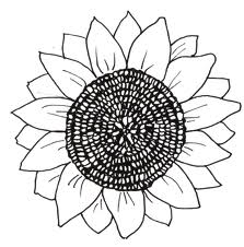 Sunflower Coloring Page