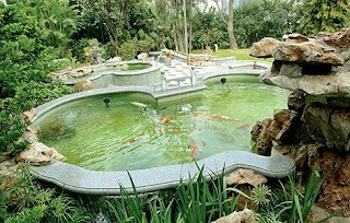 Pond Cleaning Service