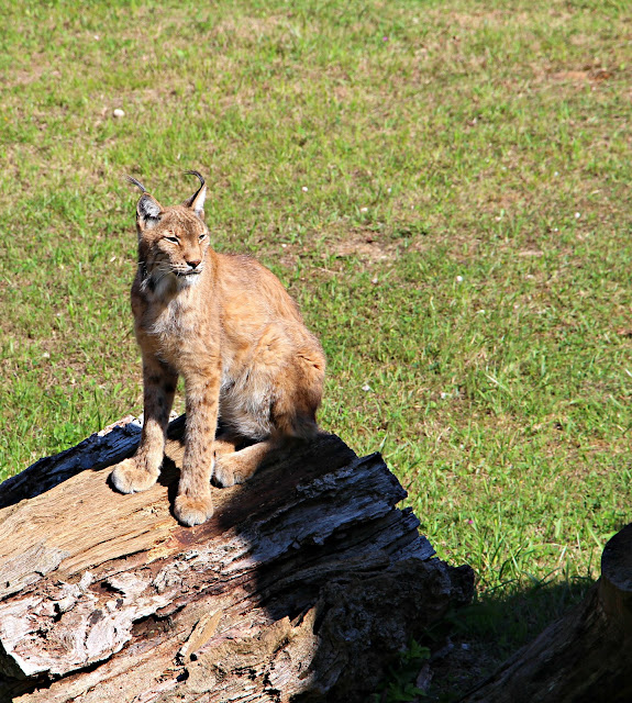 Parque de la Naturaleza de Cabárceno