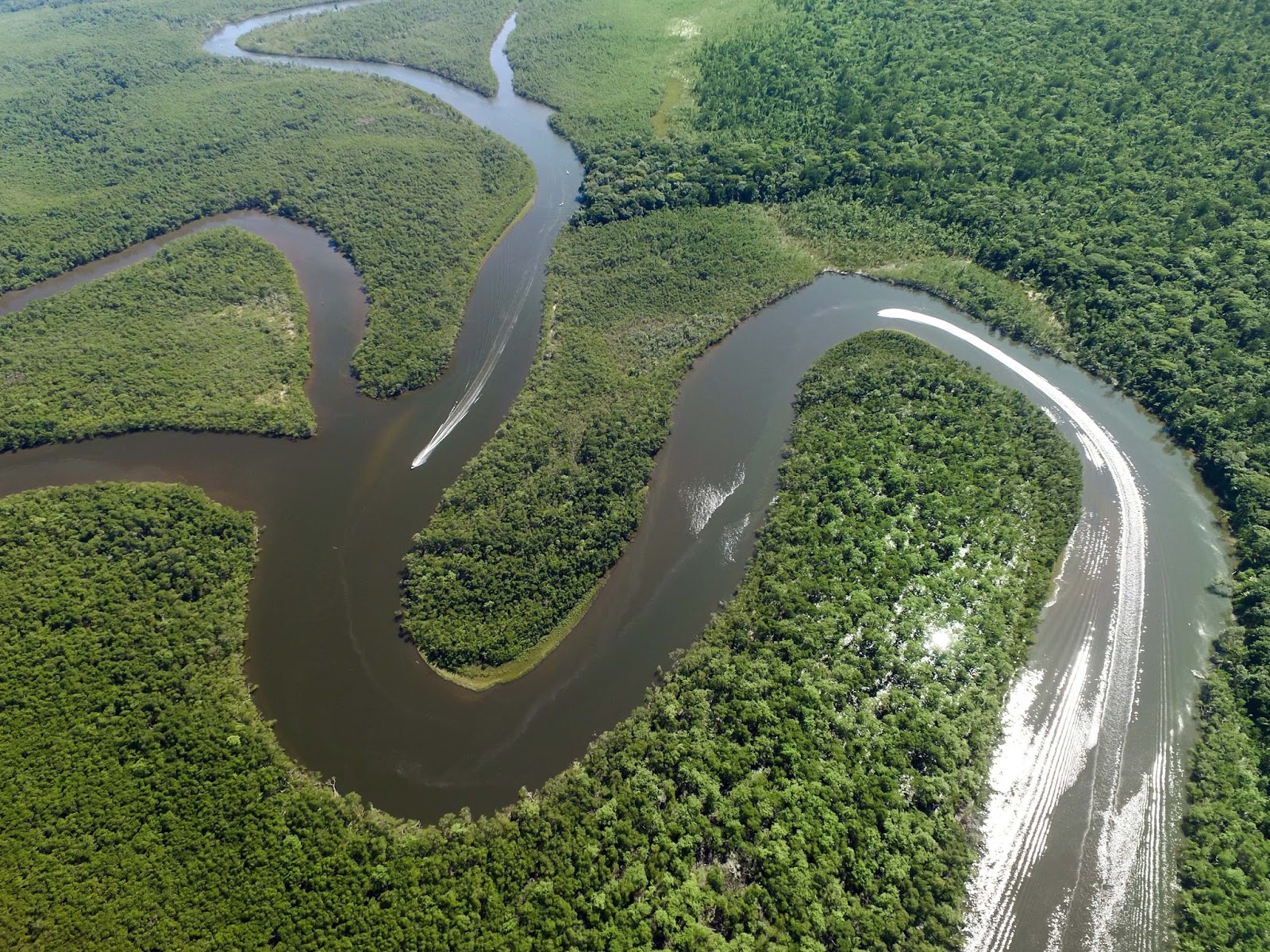 Breve Historia Sobre El Rio Amazonas Viajes Del Peru Travel
