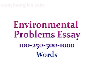 Environmental Problems Essay