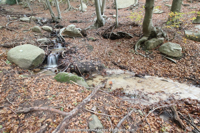 Turó i empedrat de Morou (Montseny)