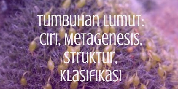 Tumbuhan Lumut: Ciri, Metagenesis, Struktur, Klasifikasi