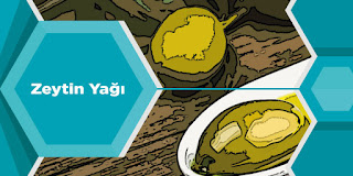 Zeytin Yağı 