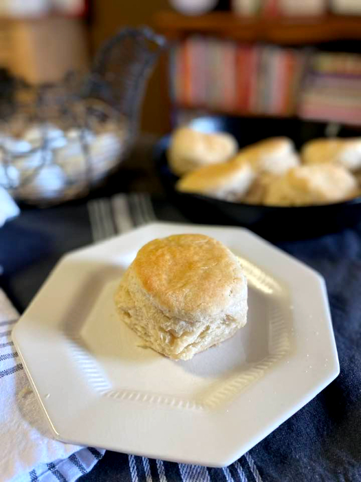 Skillet Biscuits & Cast Iron Care — Mommy's Kitchen