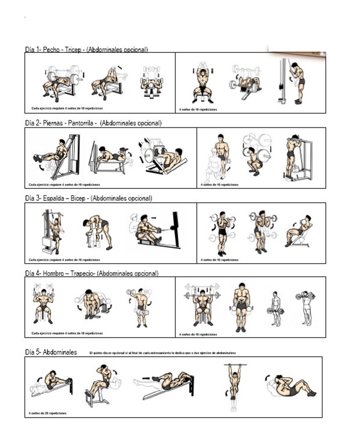 5 Day Bodybuilding Workout Plan ~ www.bodybuilding110.com