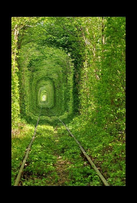Love Tunnel - Tree Lined Train Tunnel in the Ukraine - image by Oleg Gordienko via 500px com - as seen on linenandlavender net - "Take me there." page - http://www.linenandlavender.net/p/blog-page_5.html