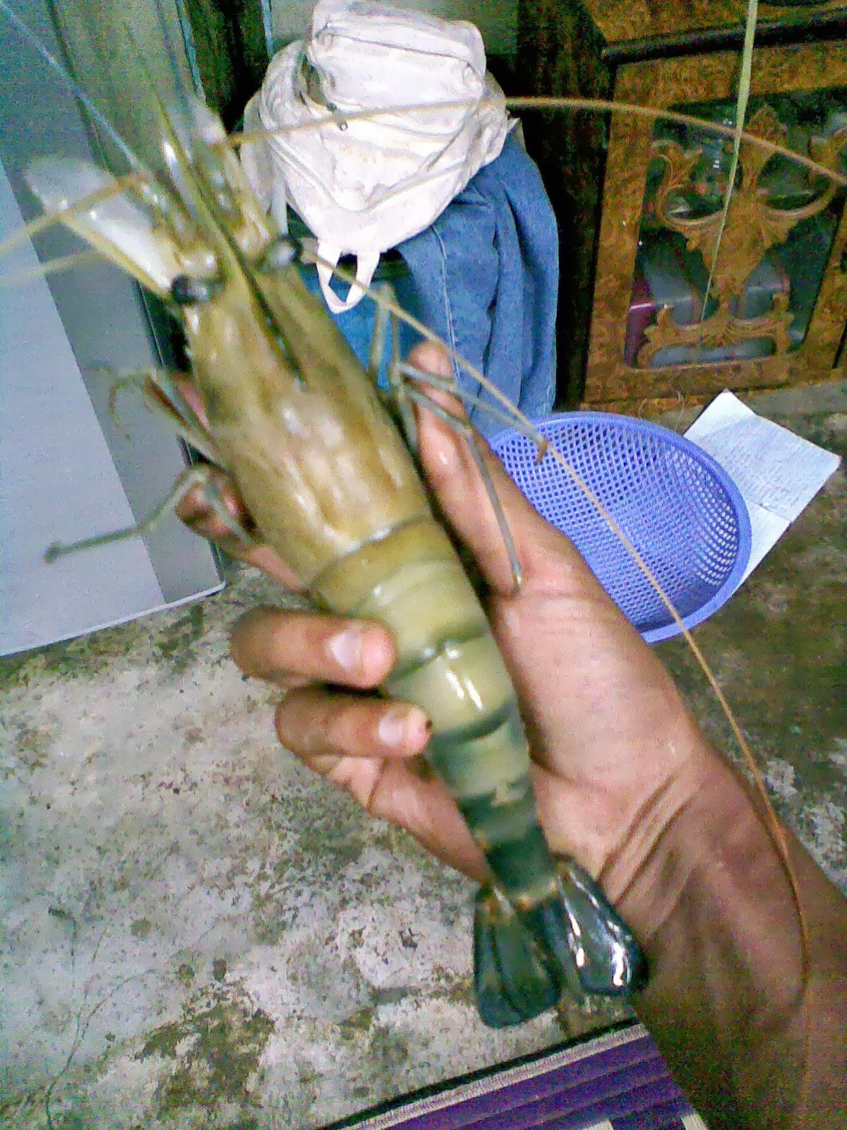 Gambar