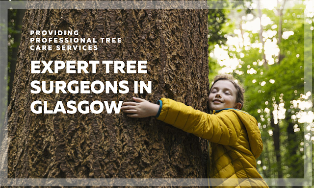 tree surgeon