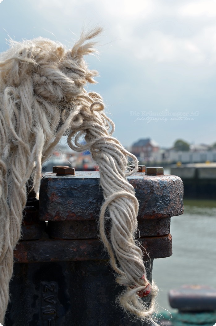 Wremen 07.08.14 Cuxhaven 184