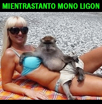 mientrastanto mono ligon