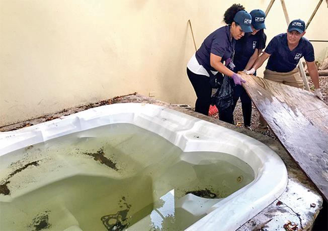 Dengue ataca con fuerza en Santo Domingo, Azua y Baní