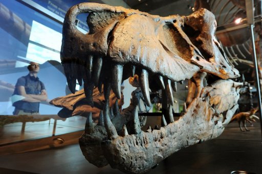New US exhibit probes dinosaur mysteries