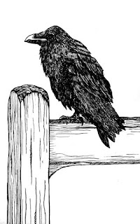 Black Crow