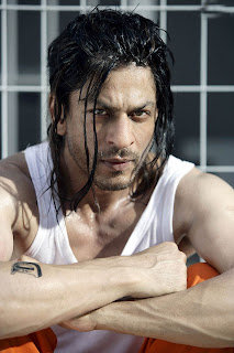 sharookh khan DON 2