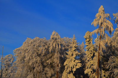 Winter, mùa đông, tél, dimër, zima, зима, 冬季, talv, talvi, hiver, χειμώνας, inverno, ウィンター, ziema, žiema, iarnă, зима, vinter, zimné, invierno, zimní, kış, tél, 