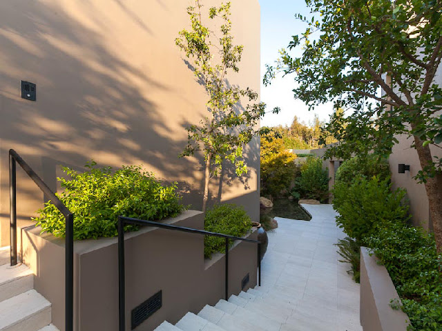 Photo of stairs and vegetation in the backyard