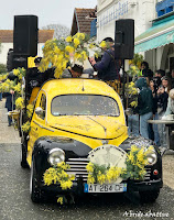 fête mimosa Saint-Trojan-les-Bains (17)