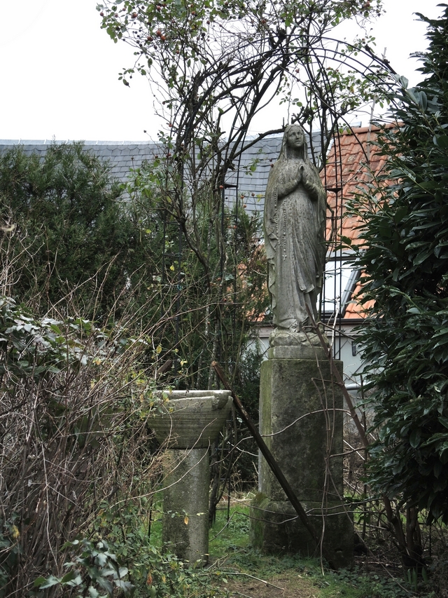 Antwerpen: de prachtige Nottebohmzaal en de (tuin van) de kathedraal