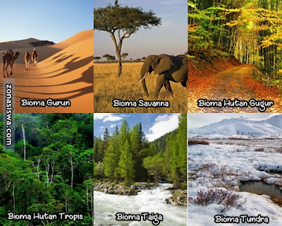 Ekosistem Darat Pengertian Jenis Ciri ciri Gambar 