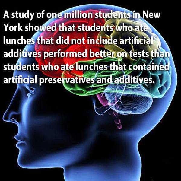 Facts about Human Brain