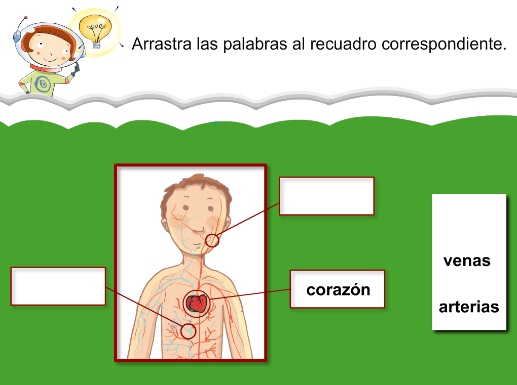 http://www.primerodecarlos.com/SEGUNDO_PRIMARIA/julio/activi_bromera/natura2/2/NATURA2-U2-A5_cas.swf